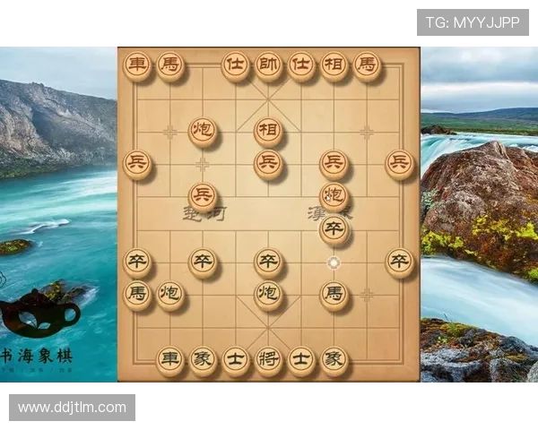 深入分析杭州排球队反击战术的独特魅力与实战应用